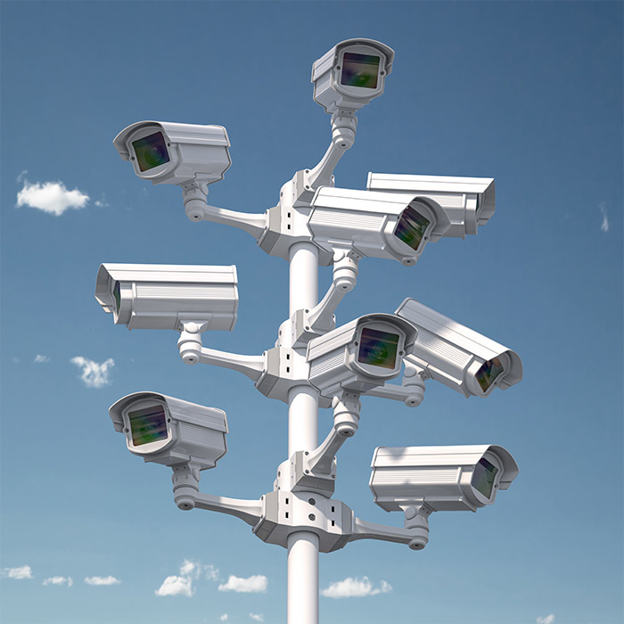 Security professionals at work